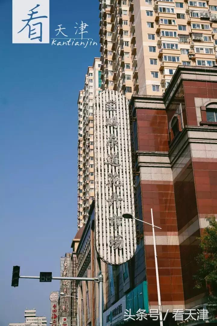 天津宝鸡道花鸟鱼虫市场地铁,宝鸡道花鸟鱼虫市场天津
