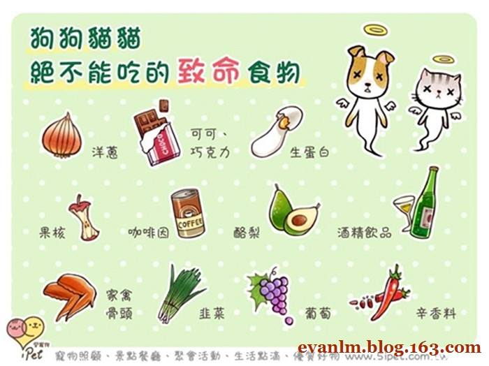 狗狗偷吃了巧克力后应当如何救治,宠物狗狗误食巧克力饼干该怎么办