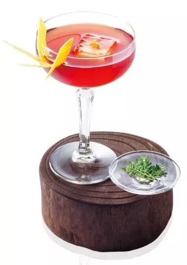 适合新手小白入门的金酒,金酒新手推荐