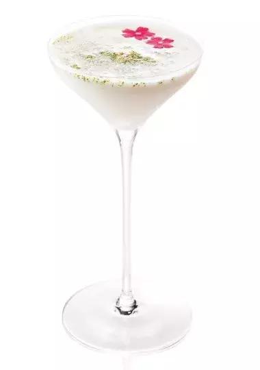 适合新手小白入门的金酒,金酒新手推荐