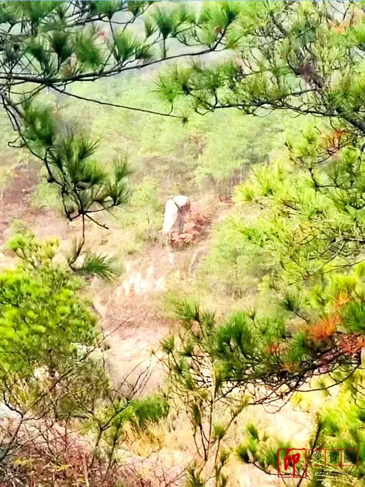 印象黄陂乡村,黄陂铁寨全景视频