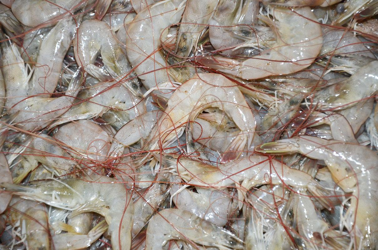 吃海鲜要注意这4点,食用海鲜时要注意的事项有这些