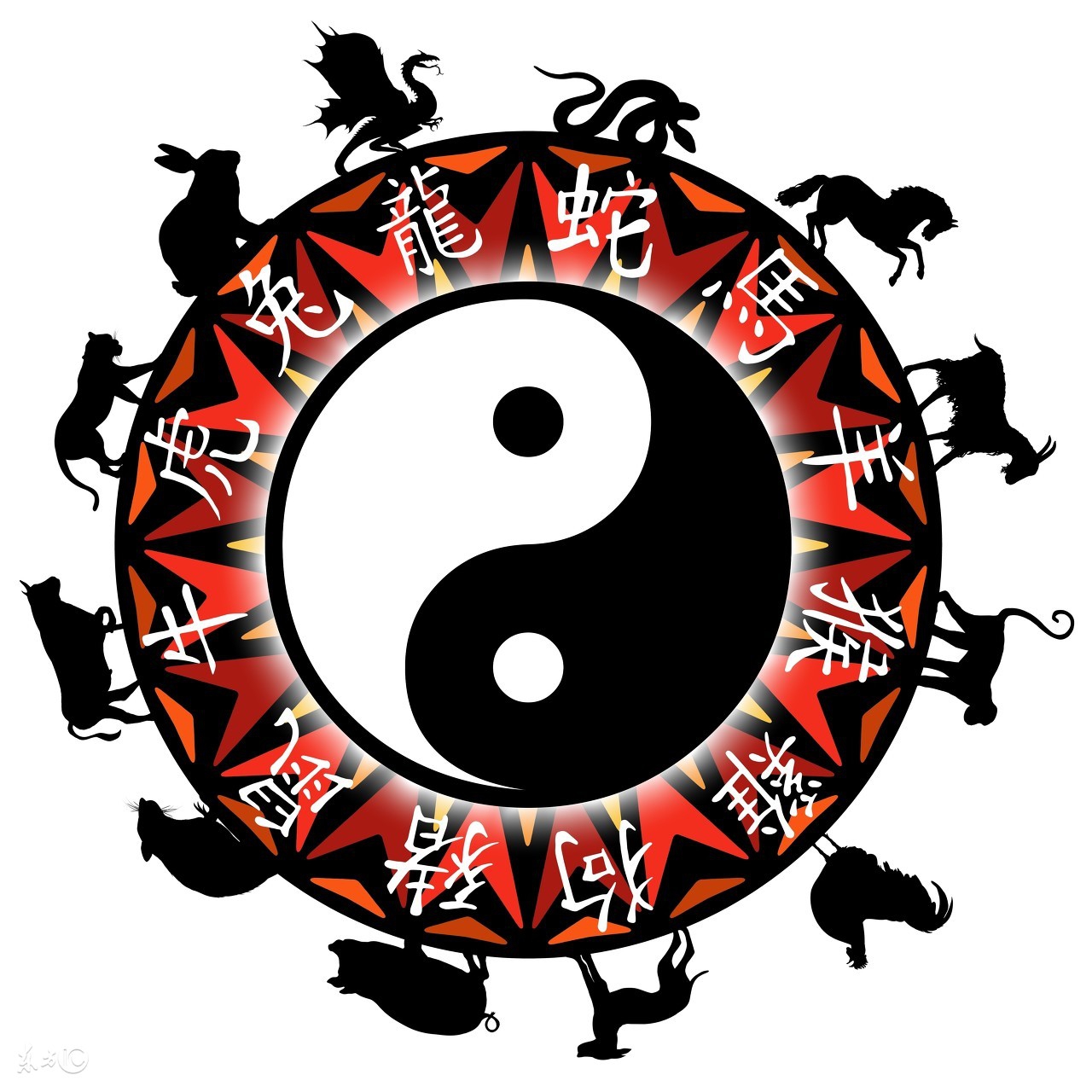 十二生肖为何鼠排第一位,鼠为啥是十二生肖之首