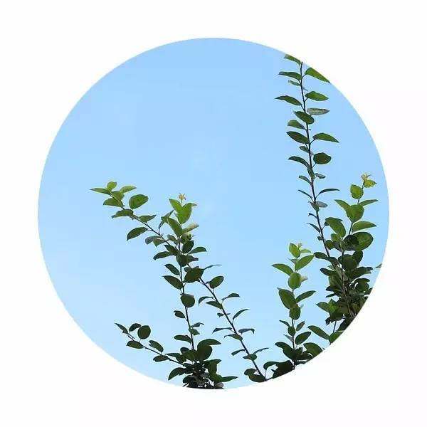 说文解字中关于颜色,说文解字青
