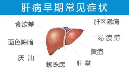 远离肝硬化5大征兆,6个征兆说明已经有肝硬化了