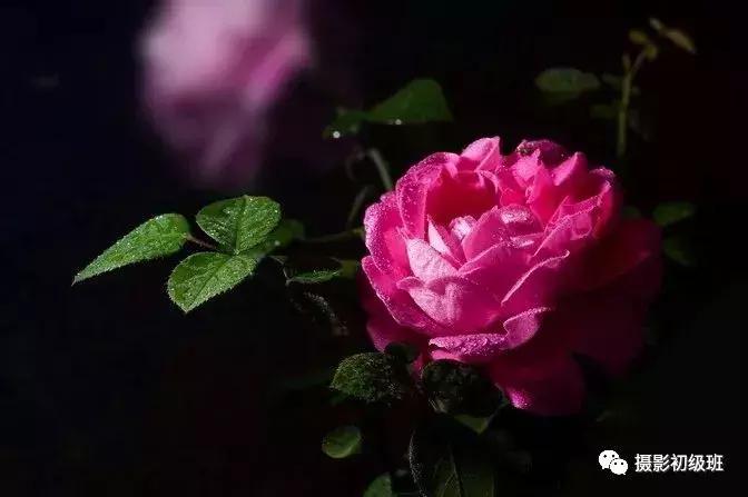 黑色背景拍照片怎么拍出高级感,纯黑色的背景视频怎么拍好看