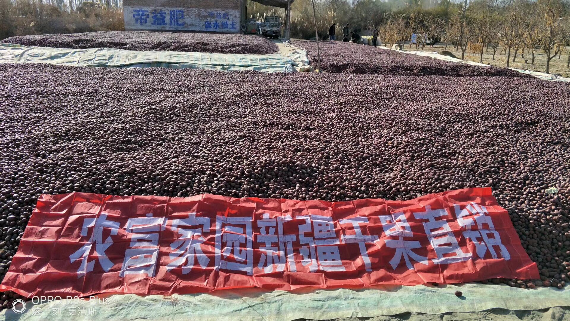农村土特产王姐,农村盖房王姐