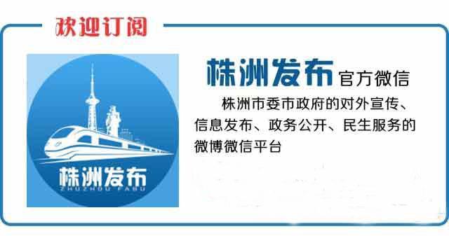 株洲互联网网站建设,打造清朗网络空间凝聚正能量