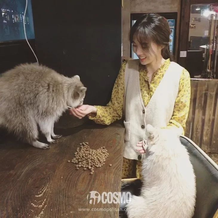 蔡秀彬变美思路,蔡秀彬不是机器人剧照