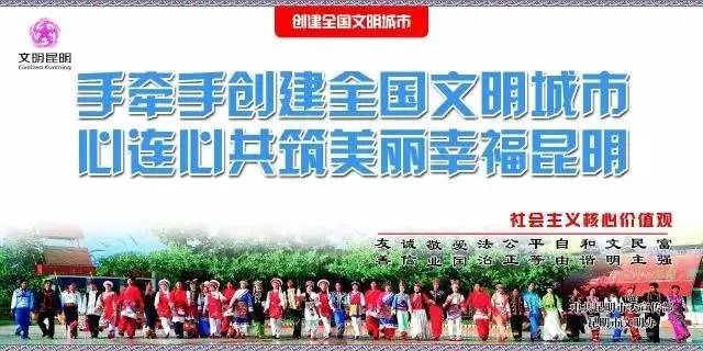 春城秀红嘴鸥图片,春城冬日美景