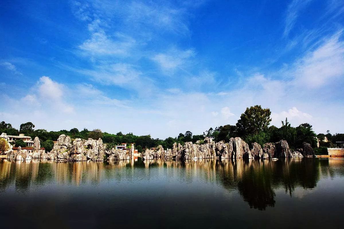 春城秀红嘴鸥图片,春城冬日美景