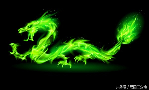 生肖龙人生于巳时的命运,十二生肖生月论命之属猪