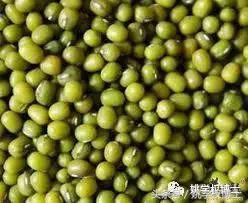 何为发物的图片,何为发物的意义