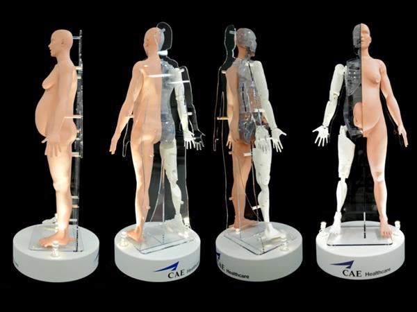 3d打印软件支撑,3d打印模型助眠