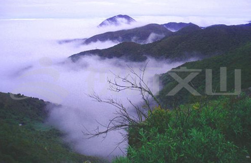 第一高山歌曲,第一高山在哪