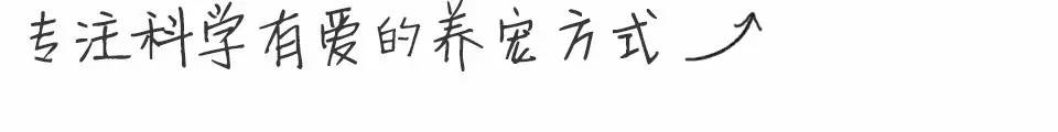 猫咪不会说话只会叫,猫咪虽然不会说话但是却什么都懂