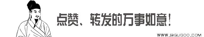 你的车上也贴着壁虎吗？