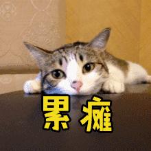 好物一次性纸巾,好物分享一次性面巾视频