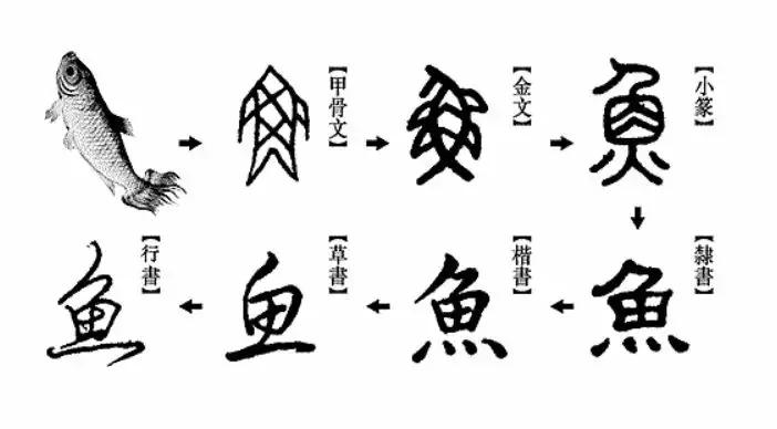书法说文解字详解,书法字典讲解大全