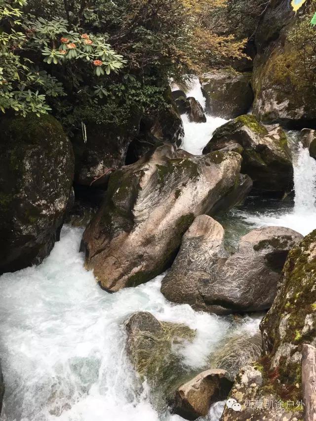墨脱徒步攻略,墨脱雪山到热带雨林