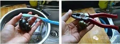 浦城现在这个季节有什么好吃的,这个季节的野生美食