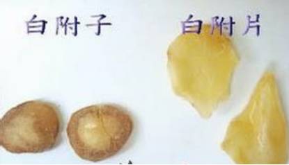 中药知识必学牡蛎,中药知识必学泽兰
