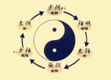 中药知识必学牡蛎,中药知识必学泽兰