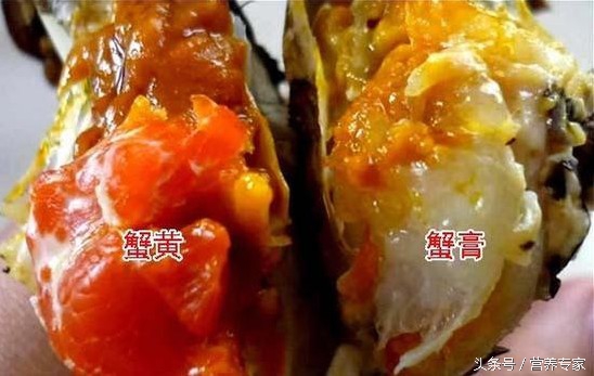 大闸蟹母蟹和公蟹的区别哪个好吃,大闸蟹公蟹还是母蟹好吃