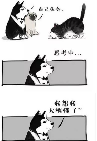 原创｜“吾皇”老爸白茶来蓉破解婆媳千古难题