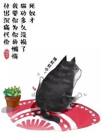 原创｜“吾皇”老爸白茶来蓉破解婆媳千古难题