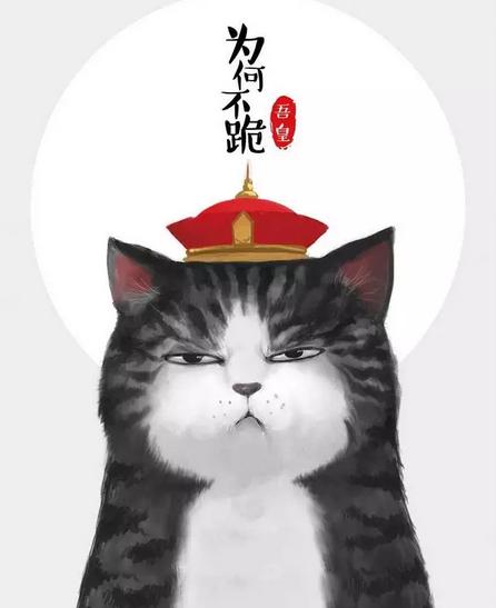 原创｜“吾皇”老爸白茶来蓉破解婆媳千古难题