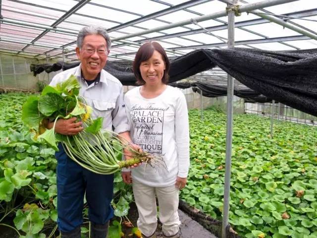 东京筑地市场吃货攻略,筑地日本料理马尼拉