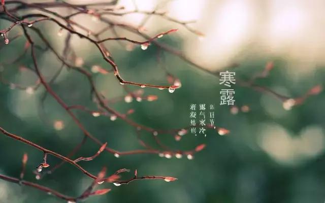 寒露节气养生指南,寒露节气如何养生寒露养生吃什么