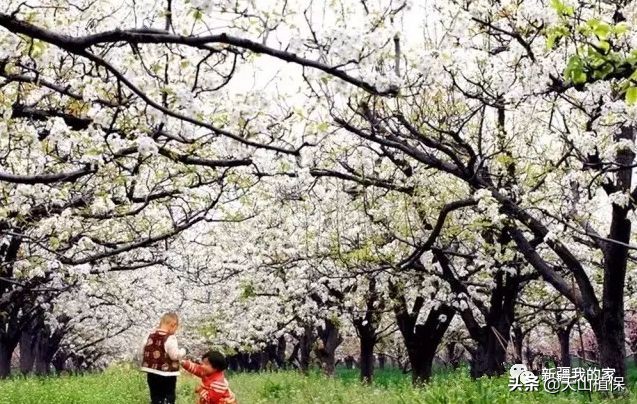 新疆南疆第一区阿拉尔地区,阿拉尔南疆重镇