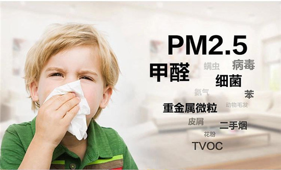 硅藻泥行业异军突起，未来市场发展蕴藏巨大潜力！