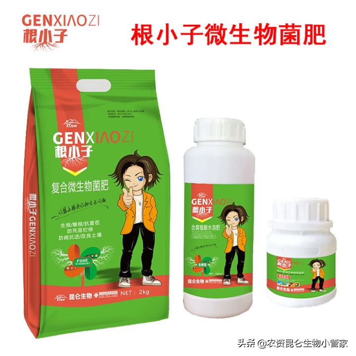 重楼烂根最快治疗方法,重楼根腐病怎么治