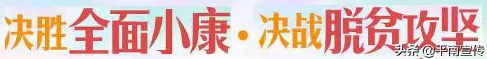 周仕志教授讲话,周仕志调研项目建设