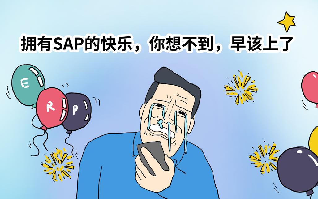 这些年，让客户泪流满面的ERP…