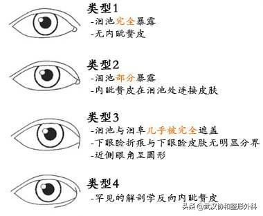 上海九院整形和协和整形,北京协和整形医院美容整形价格