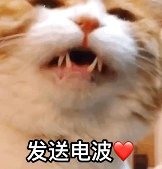 关于你不知道的地方,了解綦江