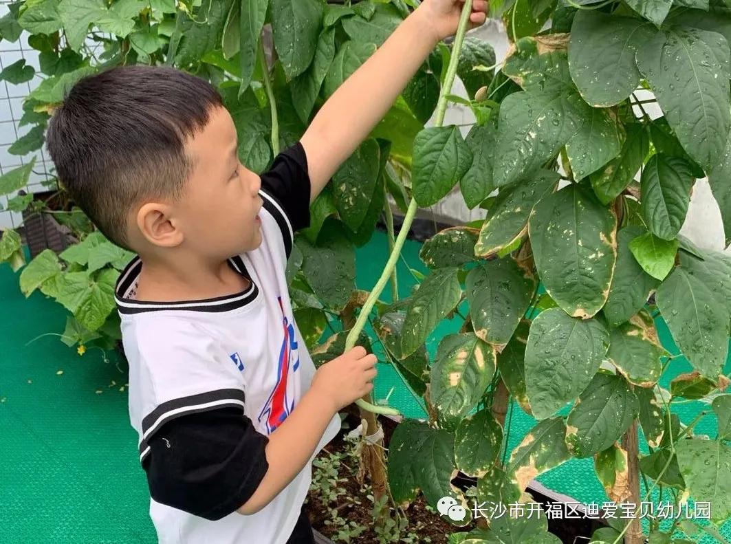 诺亚舟幼儿园,诺亚舟幼儿园里欢乐多