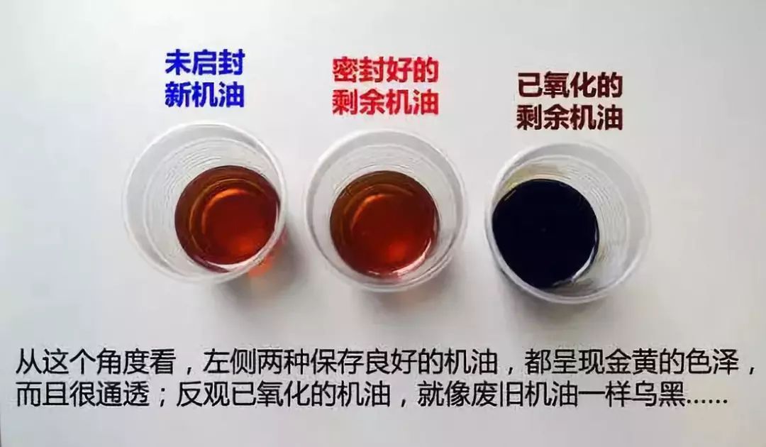 养车换油,养车记
