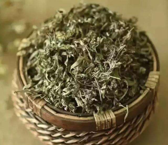 在地里烧秸秆害虫烧死一大半,在山里砍竹子用的蚊香