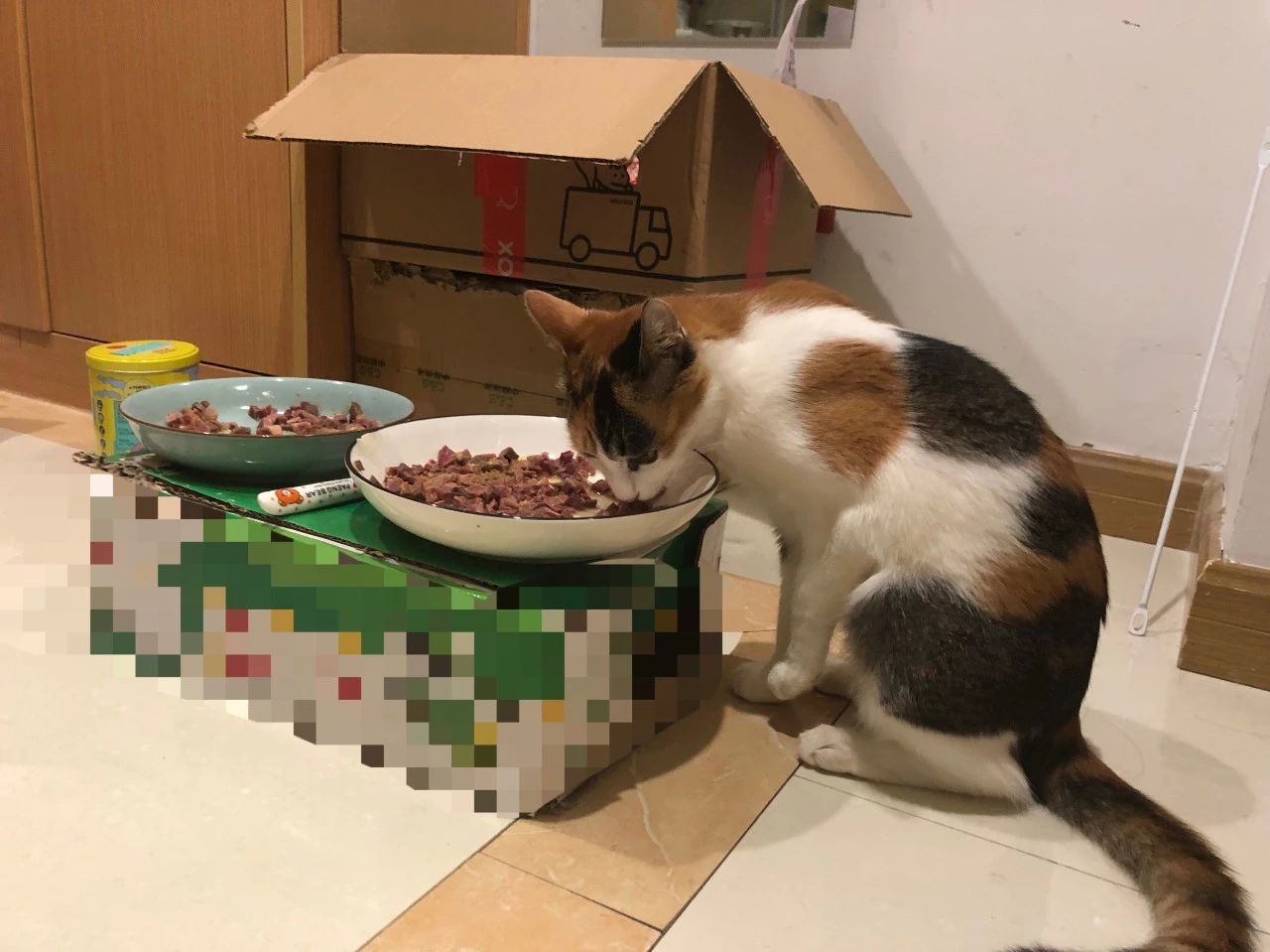 猫咪呕吐不吃猫粮是什么原因,猫咪呕吐怎么判断是猫粮的问题