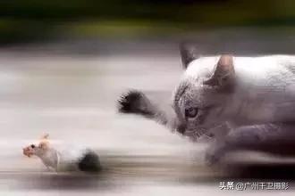 单反相机拍摄黄昏怎么设置参数,单反拍照实战各种参数的设置