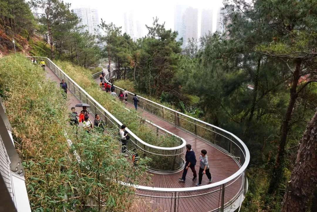 一年四季都暖和城市,厦门是一座四季如春的城市