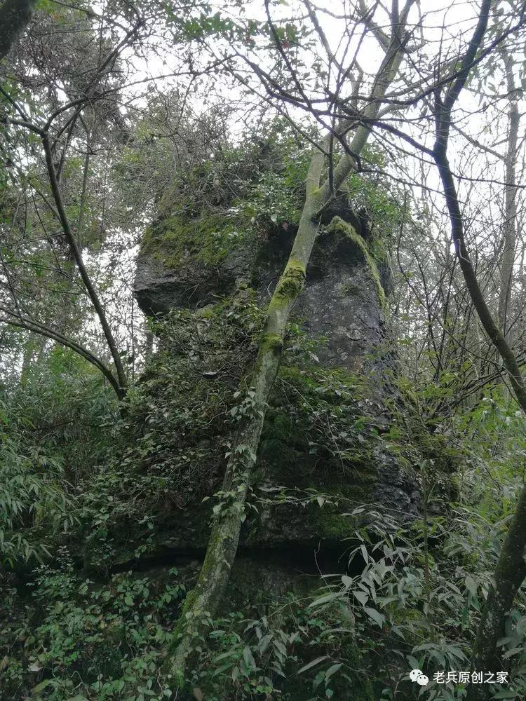 四川四大历史名山华蓥山,华蓥山名山