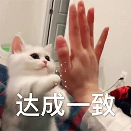 打开vivo手机的这些设置，手机变身翻译机！不用真可惜了