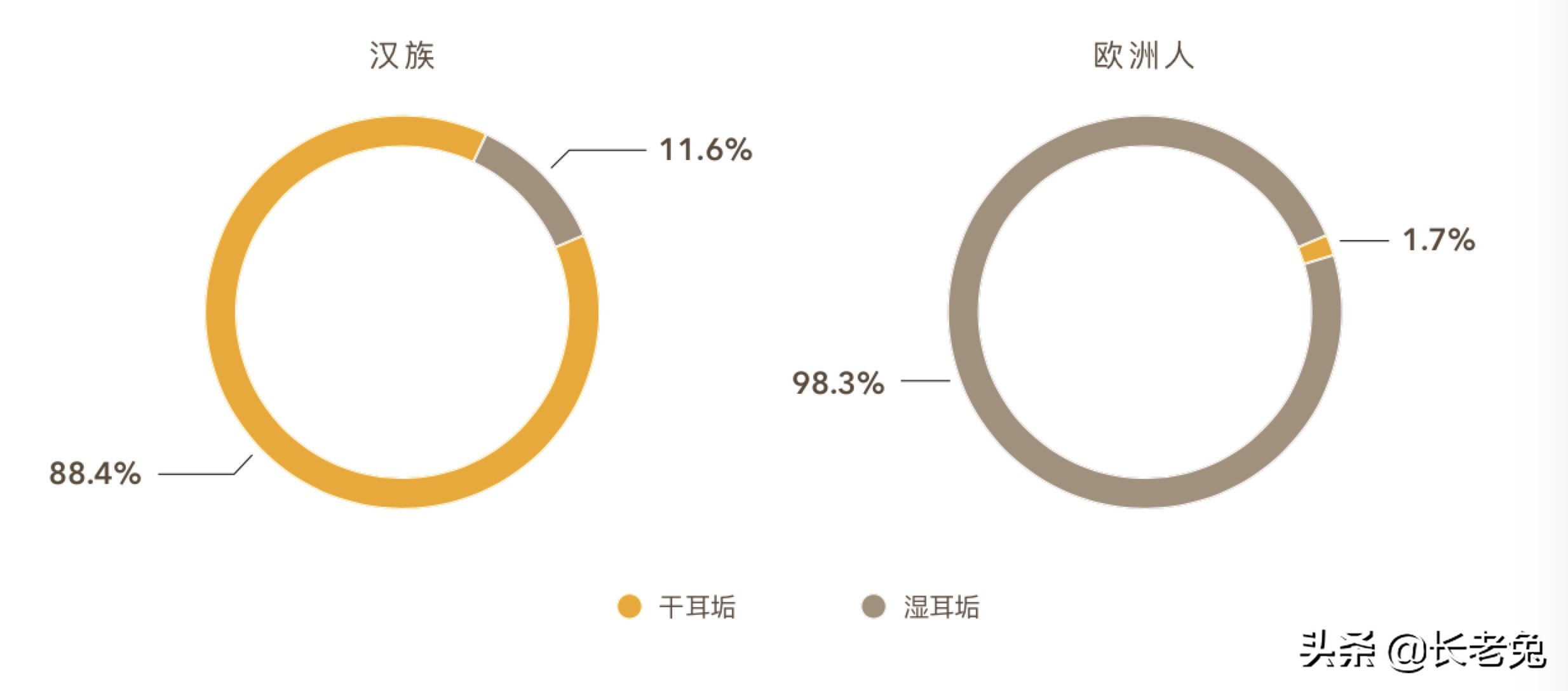 为什么外国人几乎有狐臭,为什么欧美人普遍都有狐臭