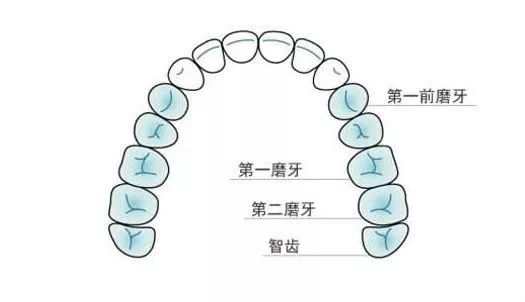 正畸主治学习视频,正畸钟摆效应名词解释